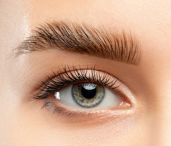 Wimpern Laminierung + Augenbrauen Laminierung